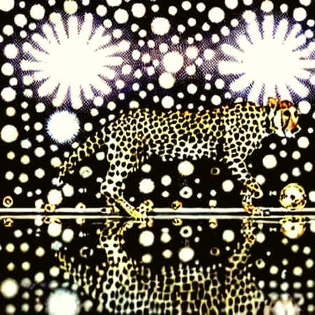 The Kusama-Litecoin Rumor: On-Chain Data Says 'Not Yet' The Kusama-Litecoin Rumor: On-Chain Data Says 'Not Yet'