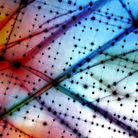 The BitMEX Autopsy: When Code and Compliance Collide