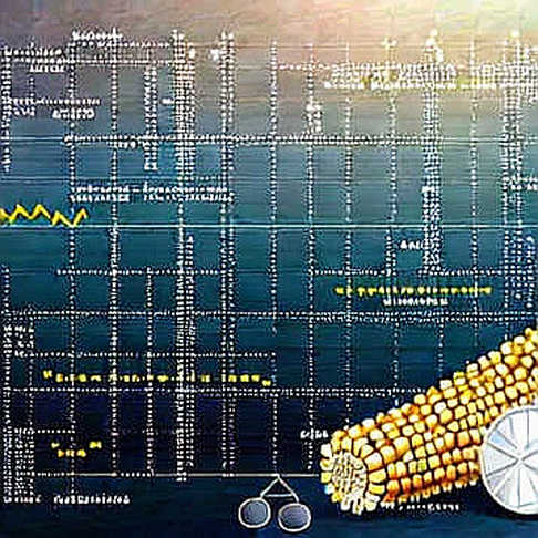 World's Phase 3: The Reckoning of the Human Oracle
